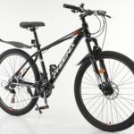 Phoenix 21-Speed 26 inch Spoke Wheel Mountain Bike BADAO