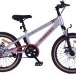 Phoenix 20 inch Mountain Bike Beta Plus Spoke Wheels
